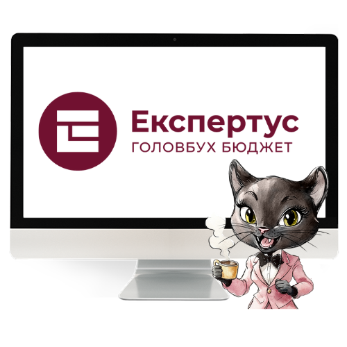Експертус Головбух Бюджет